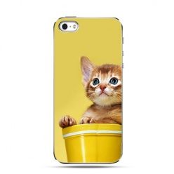 Etui słodki kociak iPhone 5 , 5s